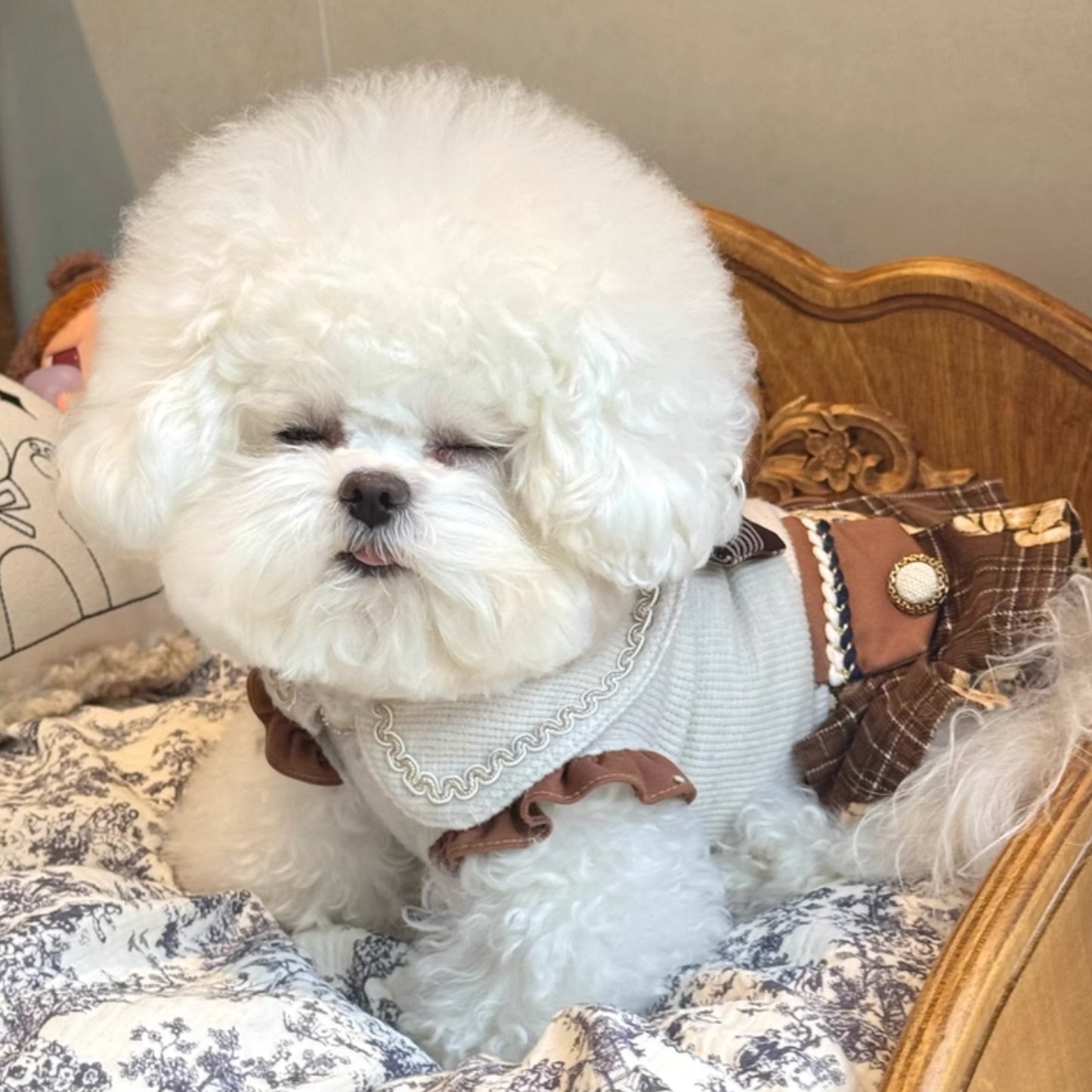 木木殿下的午睡時間|實木寵物床 貓床 狗床 開放式寵物窩 貓窩 狗窩 寵物床