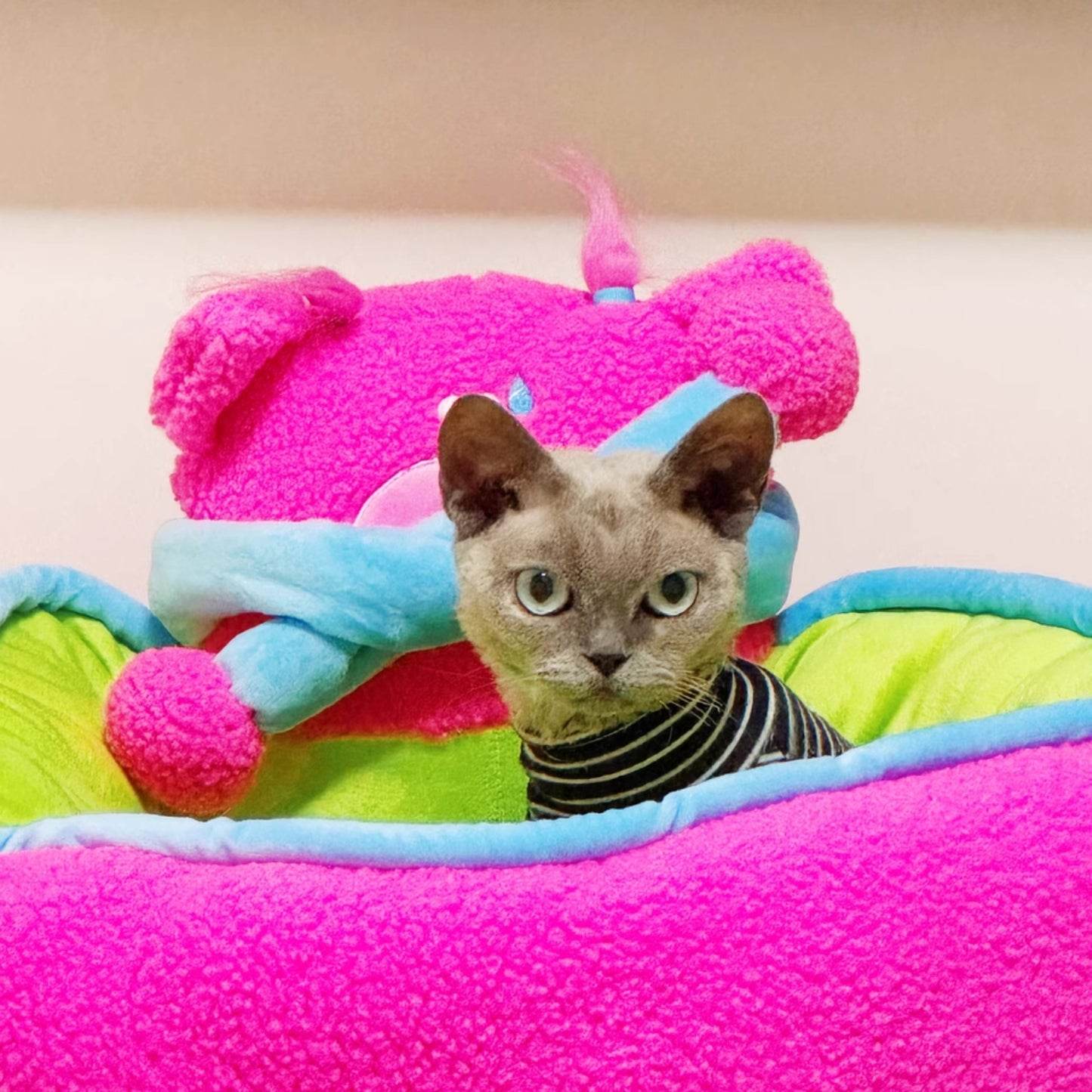 我只是躺著,也很前衛|寵物窩 貓窩 狗窩 開放式寵物窩 韓風寵物床 開放式貓窩 可拆洗