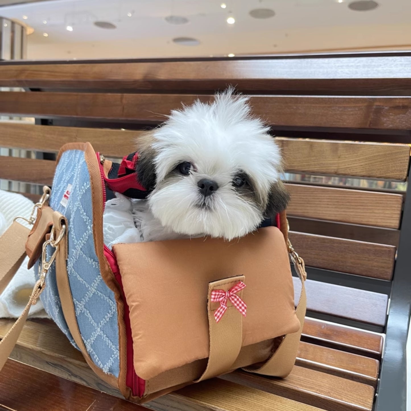 Vogue主編的寵物包|復古時髦 寵物外出包 寵物側背包 貓咪外出包 狗狗外出包 貓包 狗包