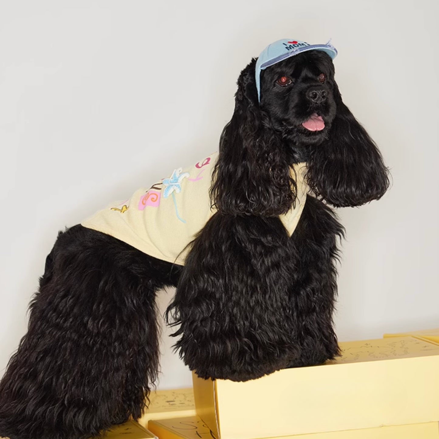 我有毛,也有態度|寵物衣 狗狗衣服 貓咪衣服 寵物服飾 寵物夏季衣服