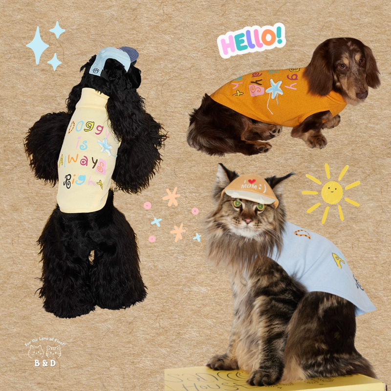 我有毛,也有態度|寵物衣 狗狗衣服 貓咪衣服 寵物服飾 寵物夏季衣服