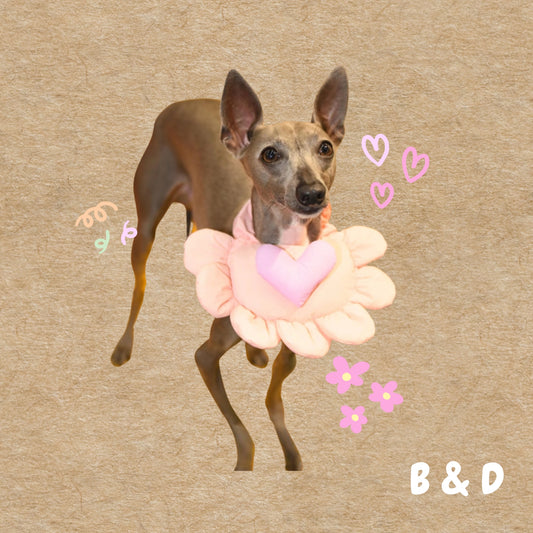 小狗的海綿蛋糕🍰|蓬鬆柔軟 寵物领巾 狗狗圍兜 領巾 寵物口水巾 可調節項圈