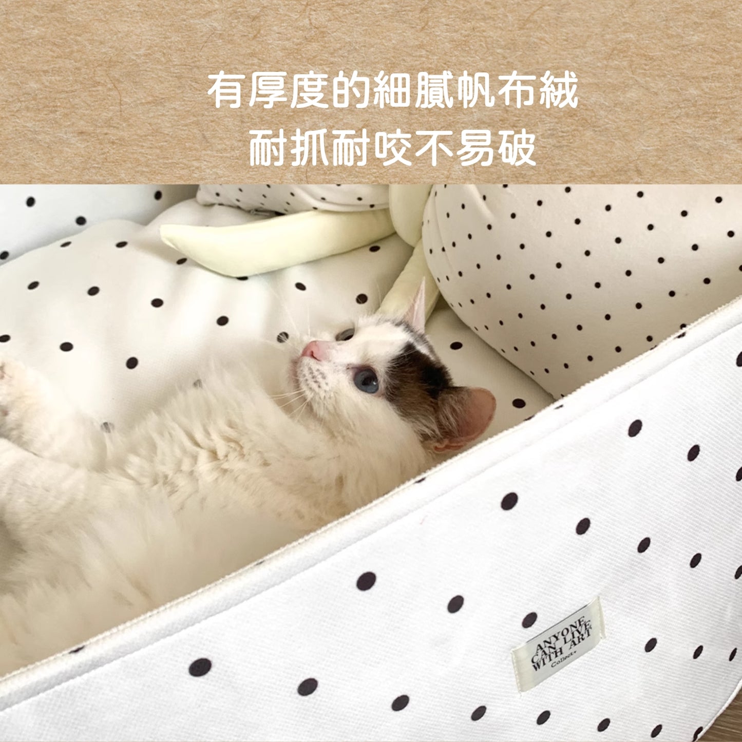 公主請睡覺|設計師款寵物床 韓風寵物床 貓窩狗窩 中小型犬貓 開放式寵物窩 可拆洗