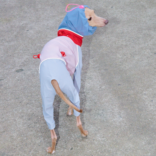 長腿狗狗的專屬|設計師款寵物服飾 寵物衣服 狗狗雨衣 狗狗衝鋒衣 寵物全包雨衣 中小型犬雨衣