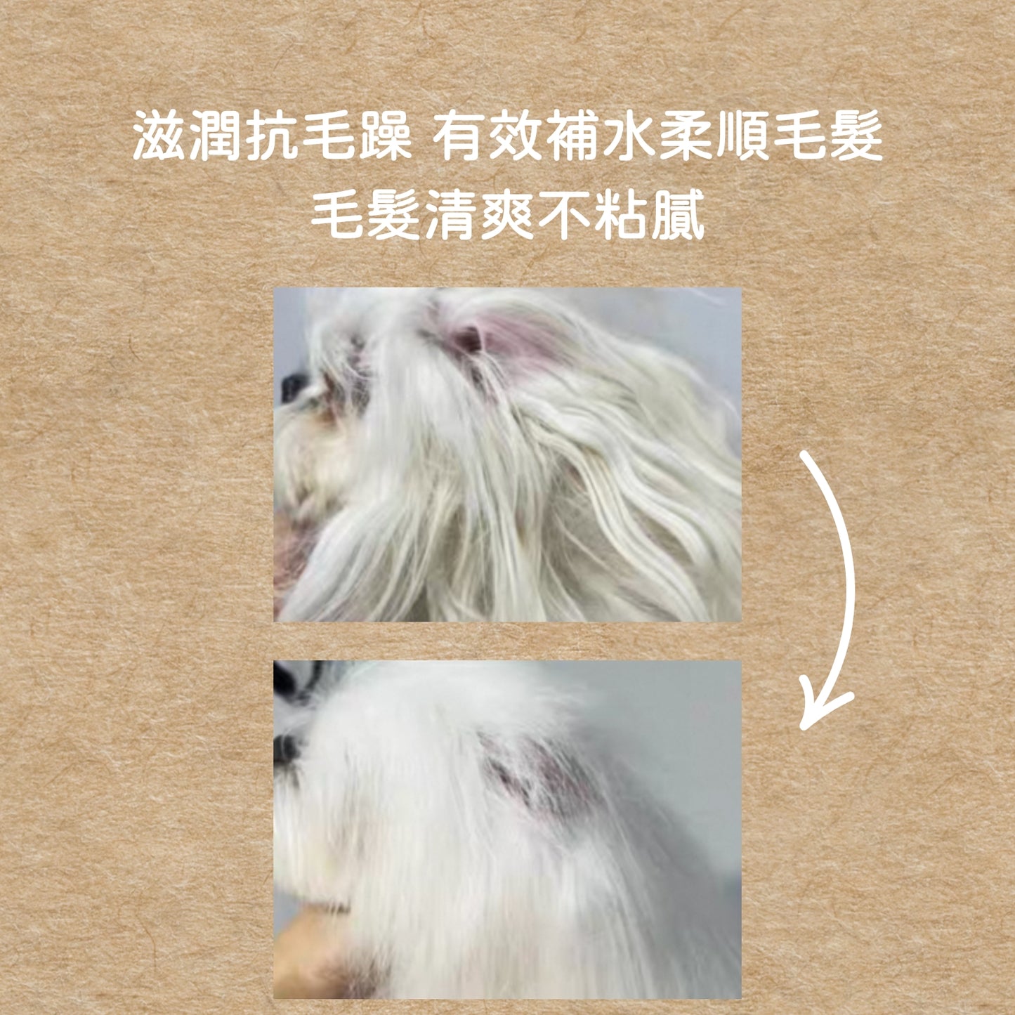 30秒get一隻香香順毛小狗|義大利原裝 YUUP! 寵物毛髮噴霧 乾洗噴霧 毛髮保養 貓狗通用 毛髮柔順