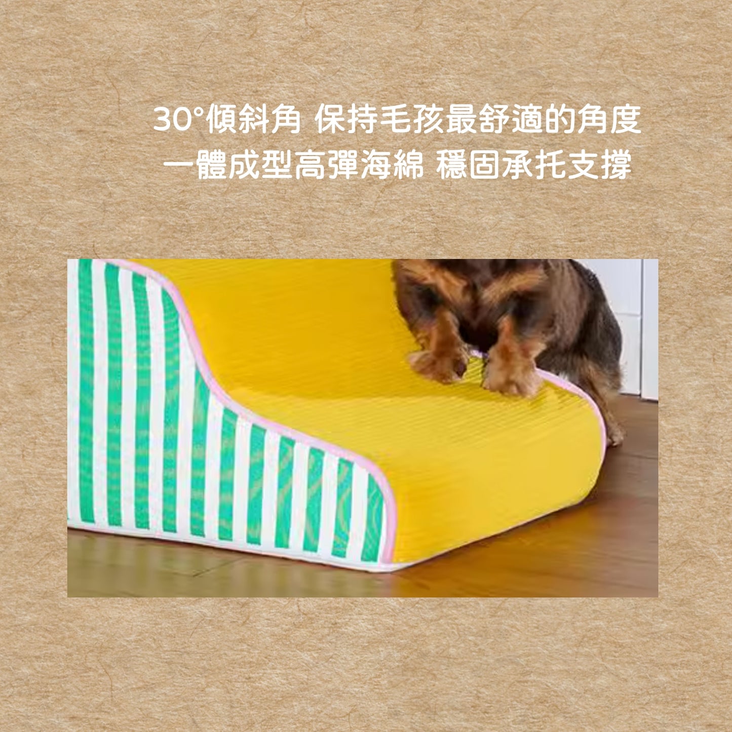 牠不用費力跳,也能抵達你身邊|寵物樓梯 寵物斜坡 階梯 狗狗上下床 高齡犬床邊爬梯 可拆洗