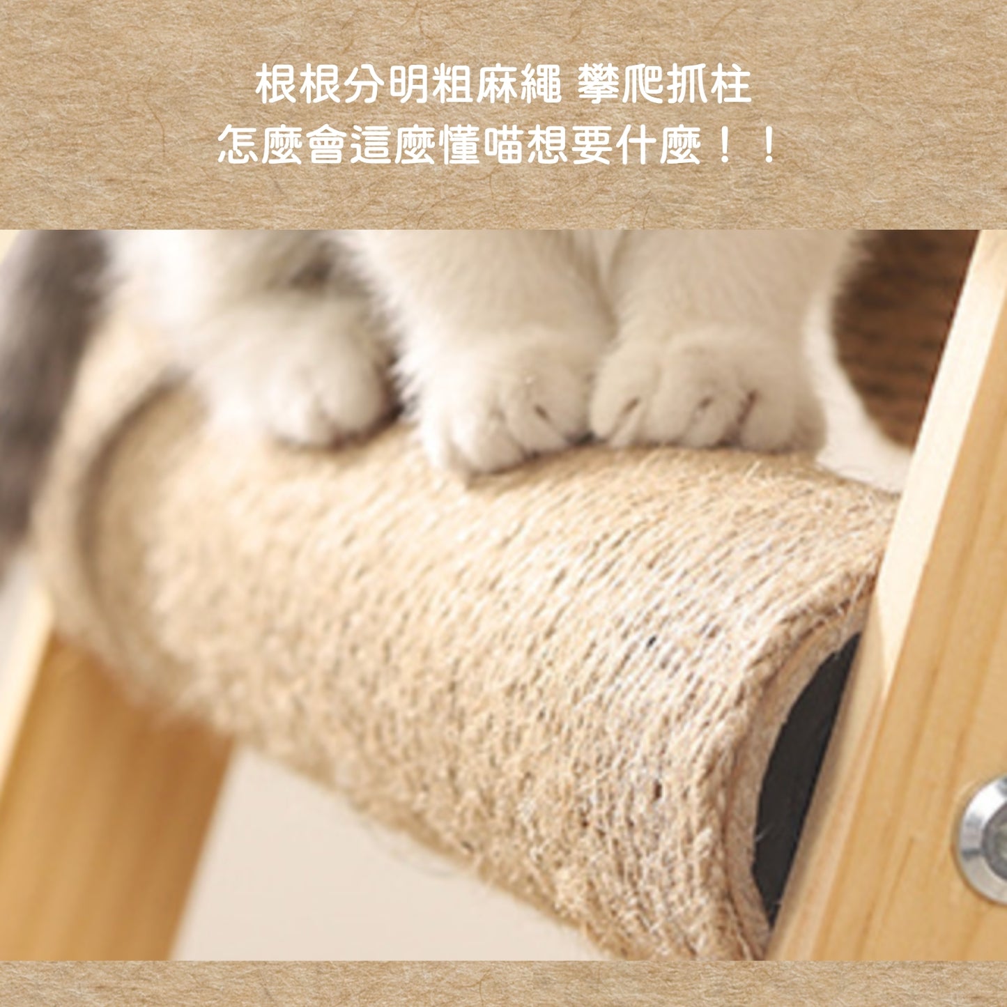 小心!主子會嗨到瘋掉|豪華加大 貓爬架 貓跳台 太空艙貓窩 貓抓柱