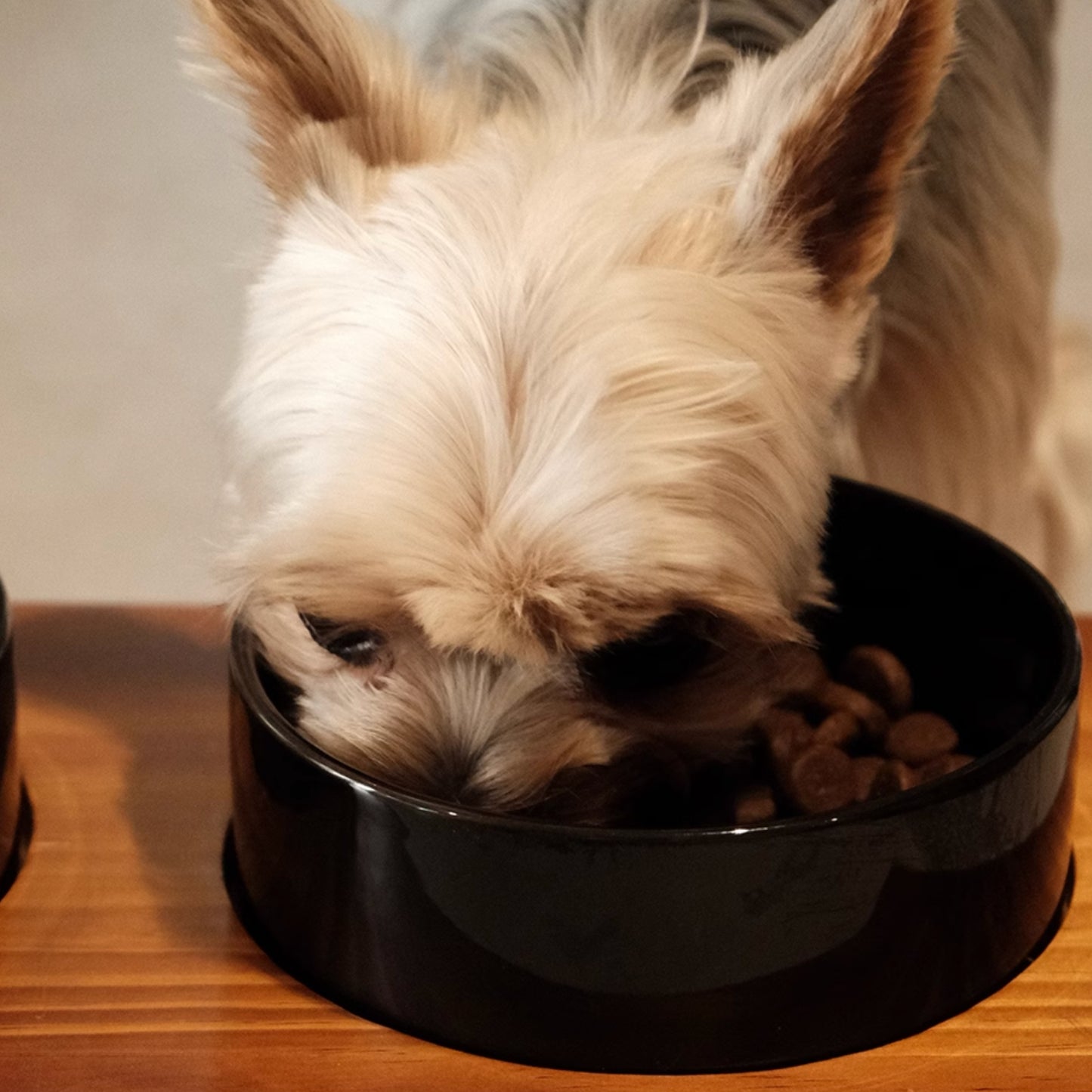 Löv Set 食間木| 護頸寵物碗 寵物飼料碗 高腳碗 防打翻 貓碗 狗碗