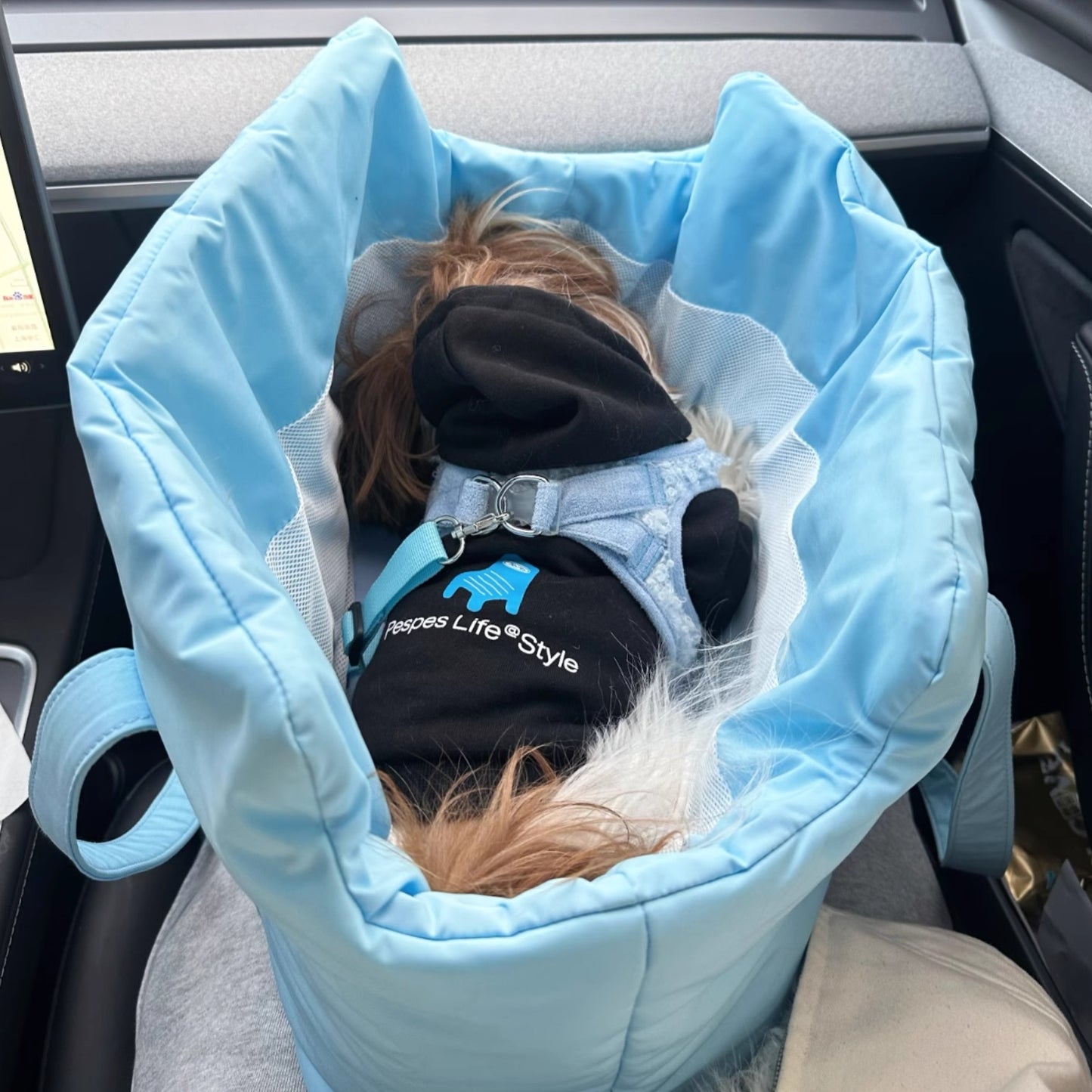 藍天裡的棉花包|寵物外出包 清新韓風 寵物側背包 貓咪外出包 狗狗外出包 貓包 狗包