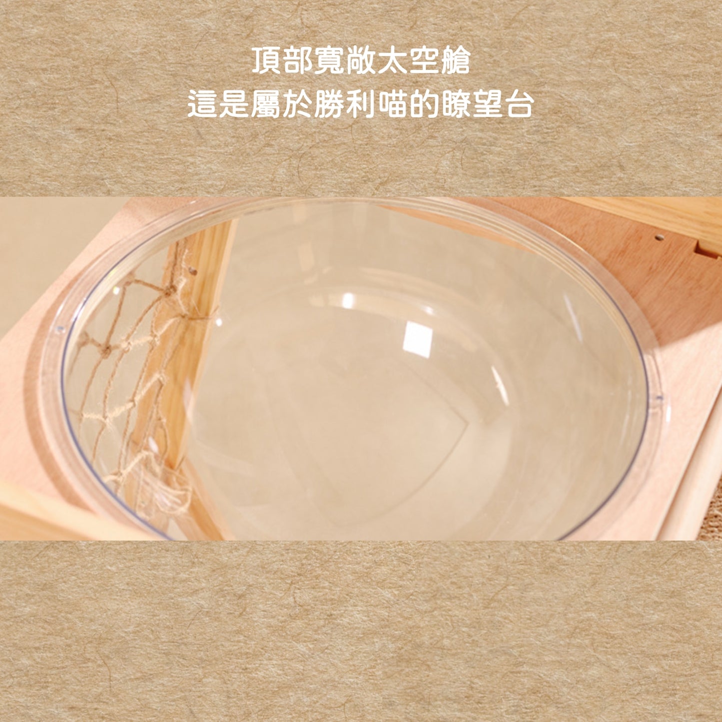 小心!主子會嗨到瘋掉|豪華加大 貓爬架 貓跳台 太空艙貓窩 貓抓柱