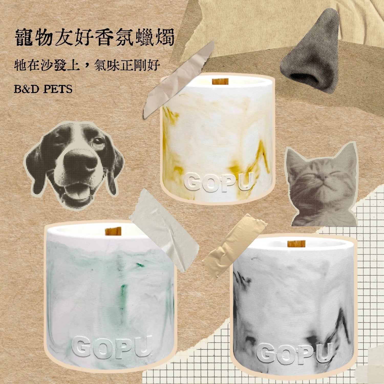 ✨ 不只為牠挑，也為你選