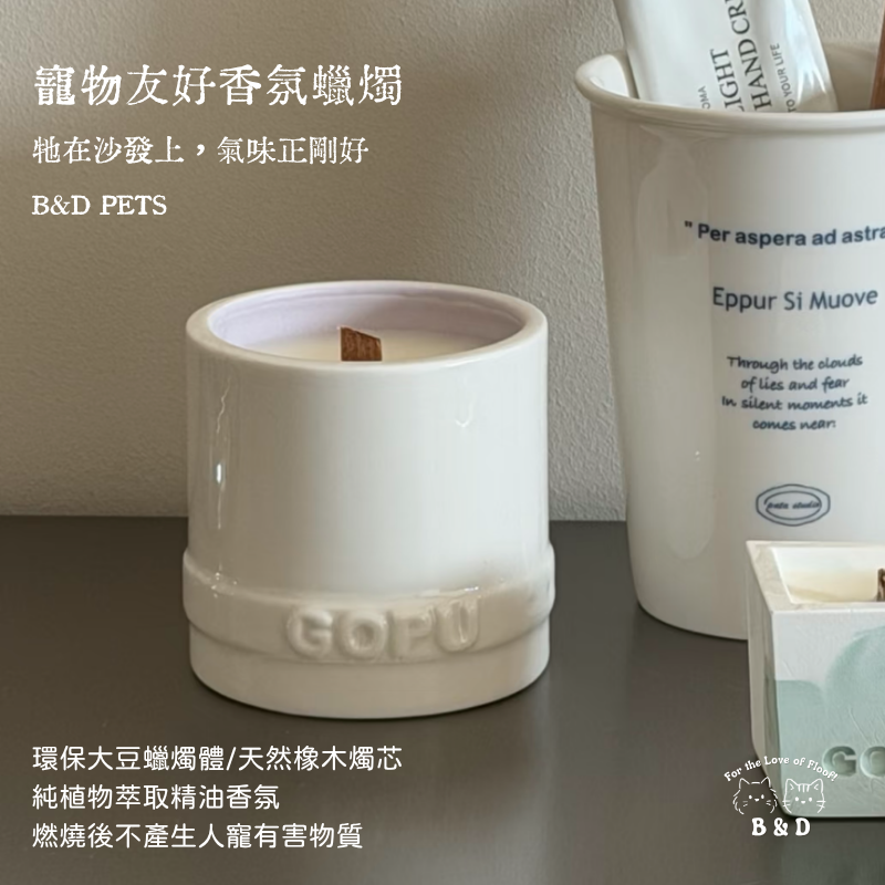 ✨ 不只為牠挑，也為你選