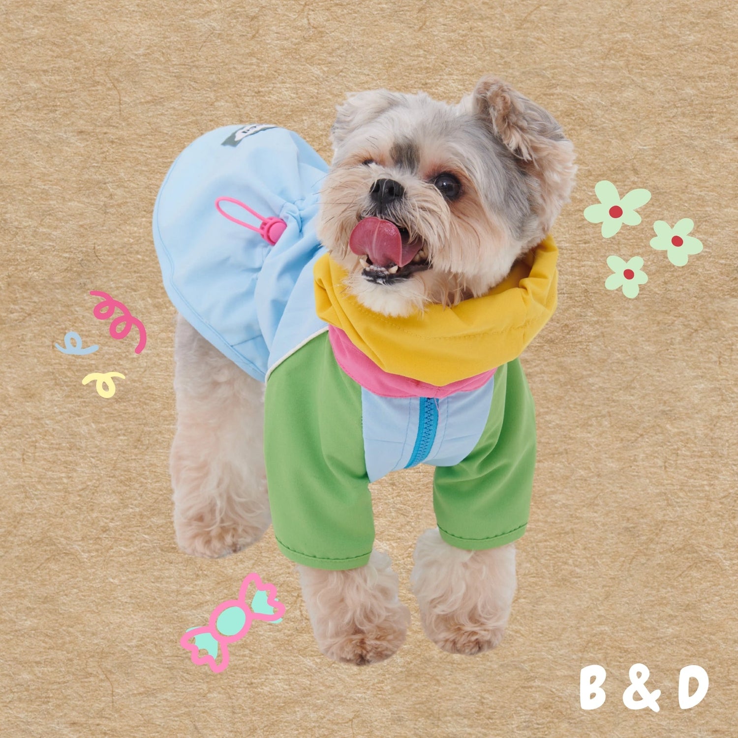👚今日穿搭OOTD