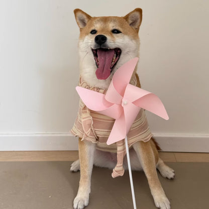 春光灑在條紋上｜寵物衣 狗狗衣服 貓咪衣服 頭巾套裝 寵物服飾 寵物夏季衣服