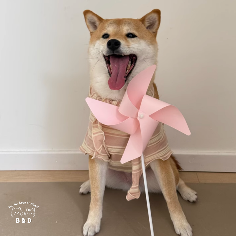春光灑在條紋上｜寵物衣 狗狗衣服 貓咪衣服 頭巾套裝 寵物服飾 寵物夏季衣服