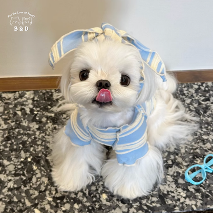 春光灑在條紋上｜寵物衣 狗狗衣服 貓咪衣服 頭巾套裝 寵物服飾 寵物夏季衣服