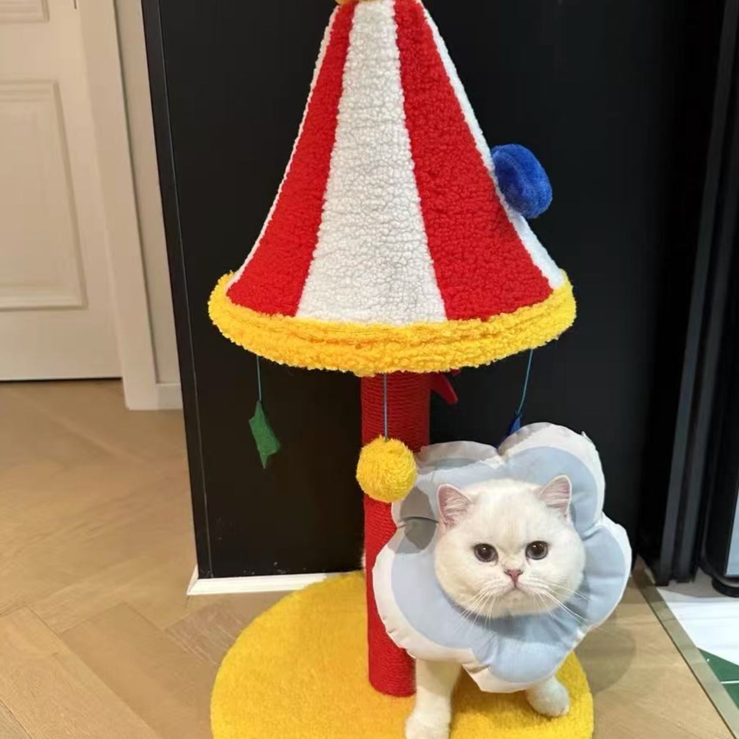 Circus Kitty在這裡｜貓爬架 貓抓板 貓抓柱 耐抓不掉屑 可旋轉貓爬架