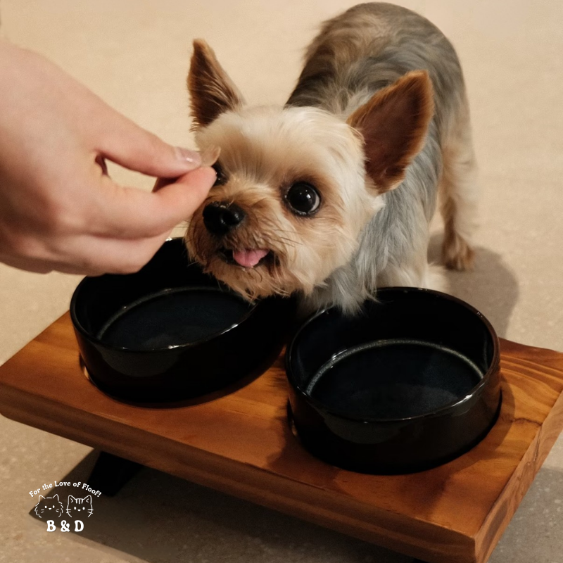 Löv Set 食間木｜ 護頸寵物碗 寵物飼料碗 高腳碗 防打翻 貓碗 狗碗