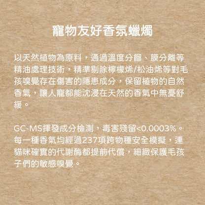 毛髮上的晚風｜150g 寵物友善香氛蠟燭 寵物友善香氛 香氛蠟燭 寵物友善 手工香氛蠟燭