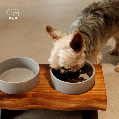 Löv Set 食間木｜ 護頸寵物碗 寵物飼料碗 高腳碗 防打翻 貓碗 狗碗