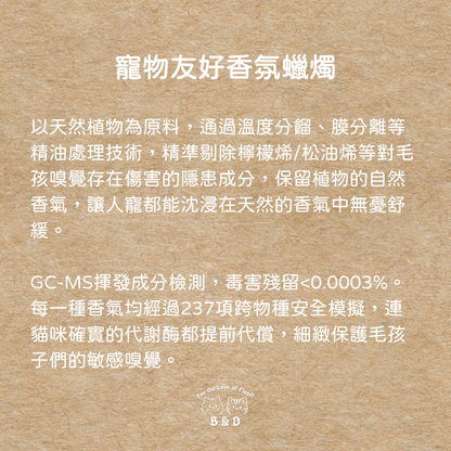 毛髮上的晚風｜150g 寵物友善香氛蠟燭 寵物友善香氛 香氛蠟燭 寵物友善 手工香氛蠟燭