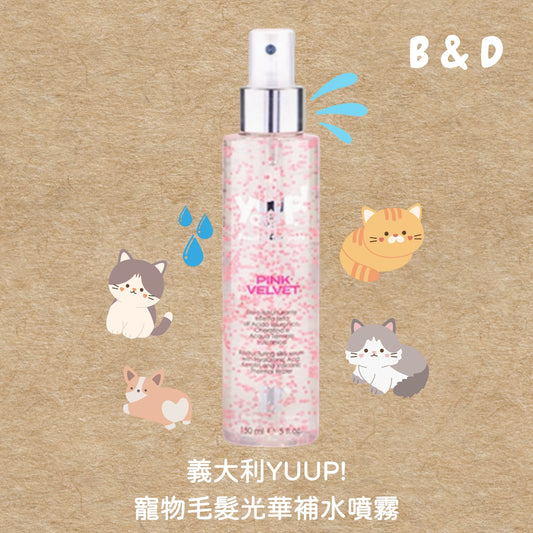 30秒get一隻香香順毛小狗｜義大利原裝 YUUP! 寵物毛髮噴霧 乾洗噴霧 毛髮保養 貓狗通用 毛髮柔順