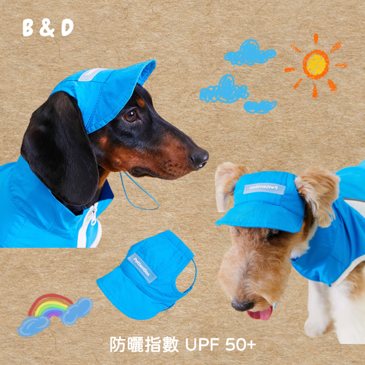 夏日啵涼帽｜寵物帽子 寵物遮陽帽 狗狗帽子 貓貓帽子 棒球帽 貓狗通用