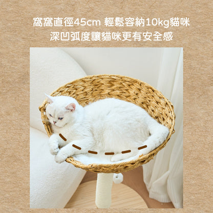 鳥巢混進一隻小貓｜貓爬架 貓抓柱 貓窩 實木貓跳台 劍麻 不掉屑 藤編貓窩