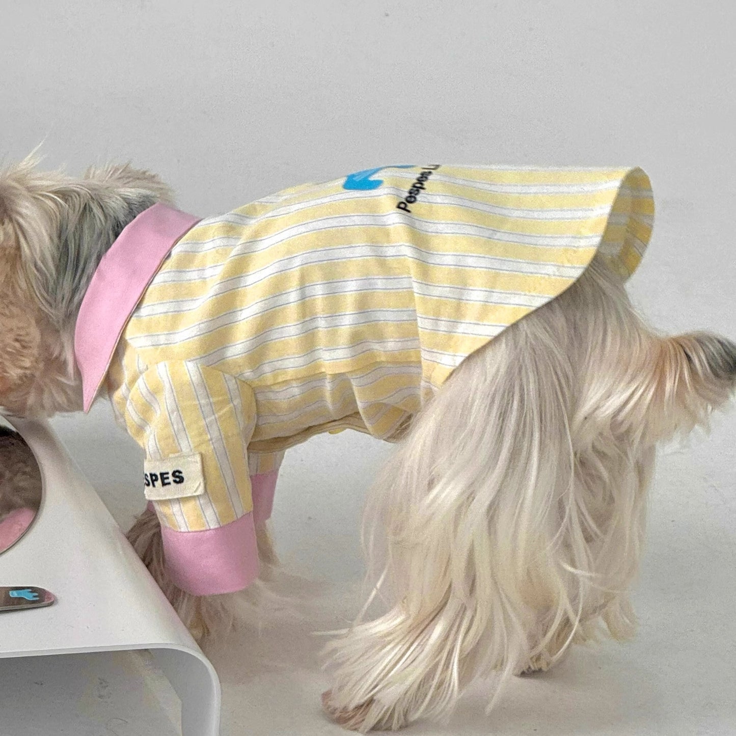 莓奶條紋日常｜寵物衣服 狗狗涼感衣 狗狗衣服  寵物襯衫 貓咪衣服