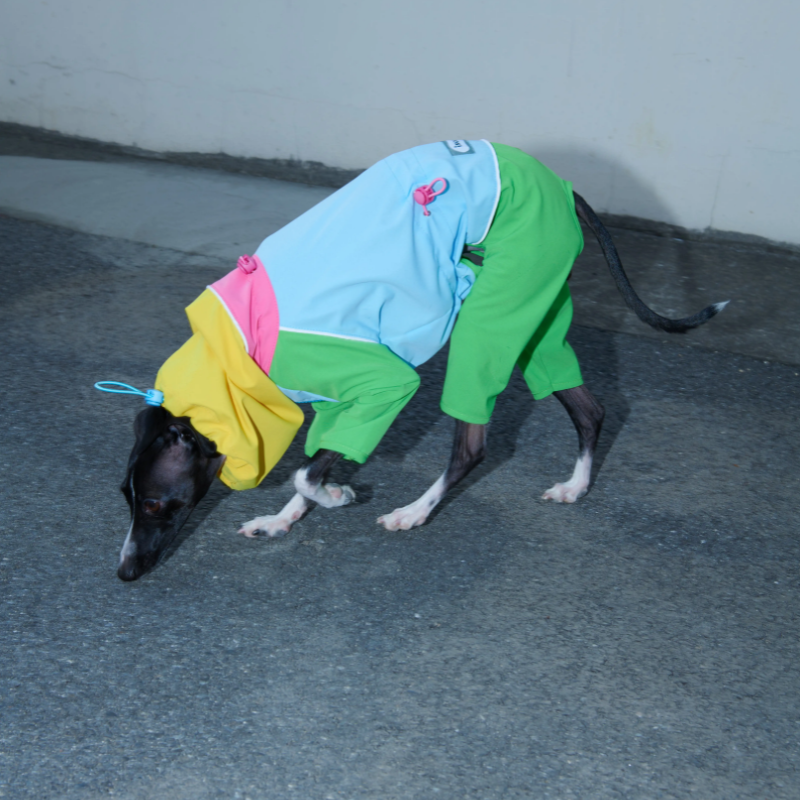 長腿狗狗的專屬｜設計師款寵物服飾 寵物衣服 狗狗雨衣  狗狗衝鋒衣 寵物全包雨衣 中小型犬雨衣