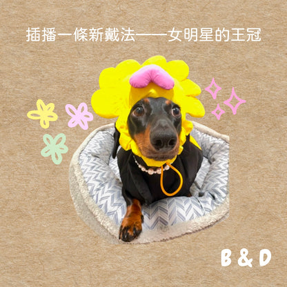 小狗的海綿蛋糕🍰｜蓬鬆柔軟 寵物领巾 狗狗圍兜 領巾 寵物口水巾 可調節項圈