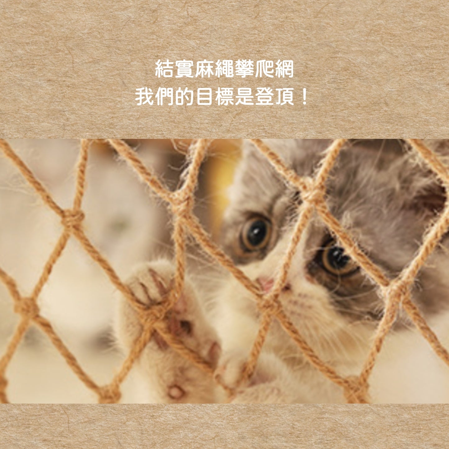 小心！主子會嗨到瘋掉｜豪華加大 貓爬架 貓跳台 太空艙貓窩 貓抓柱