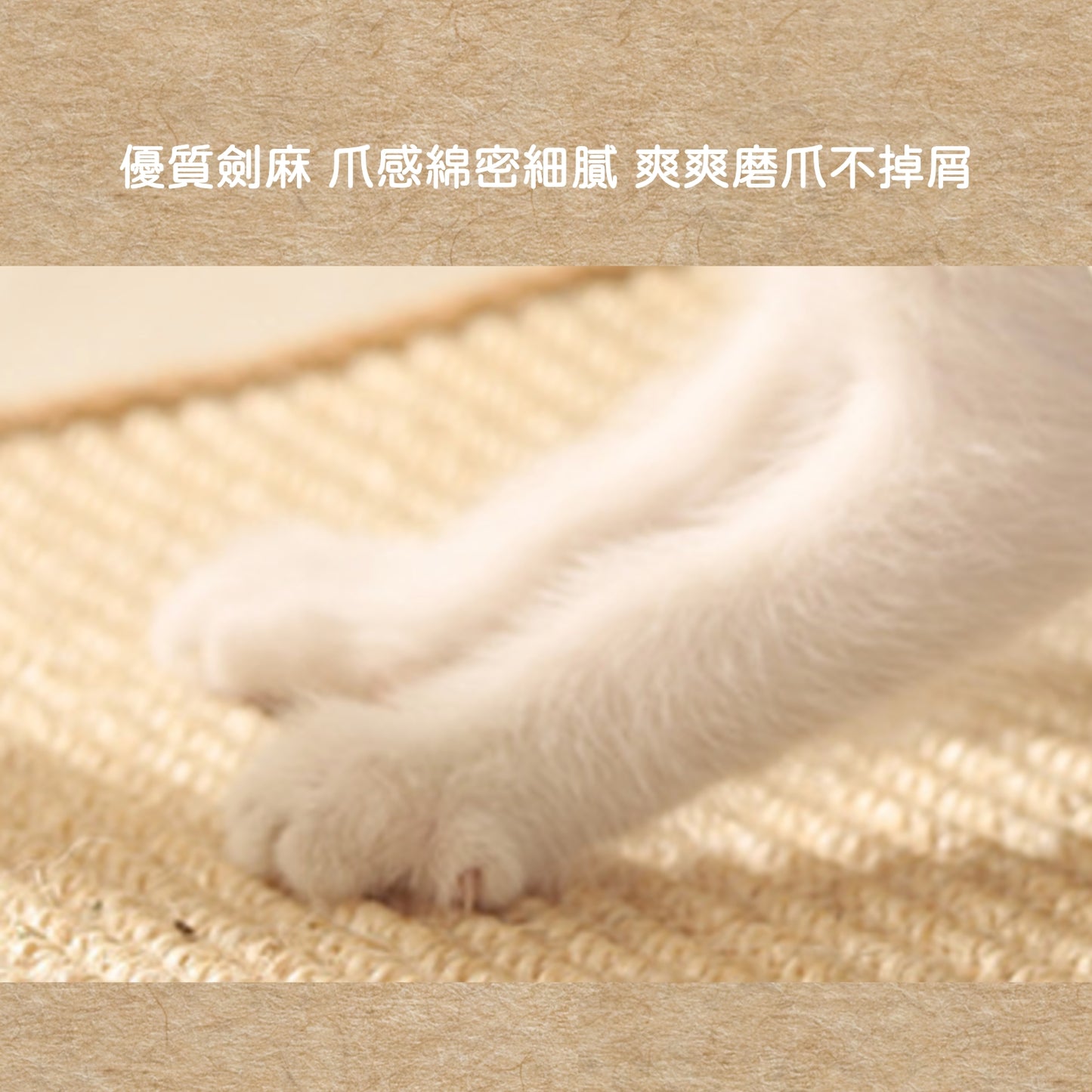 小心！主子會嗨到瘋掉｜豪華加大 貓爬架 貓跳台 太空艙貓窩 貓抓柱