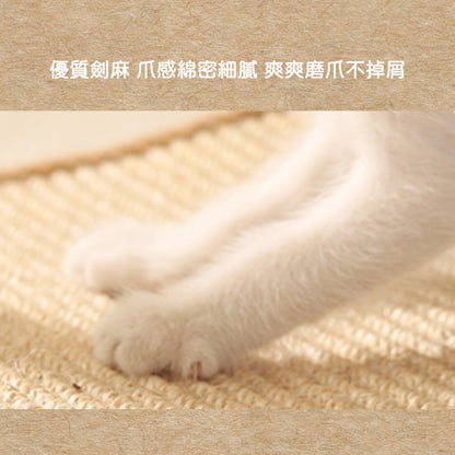 小心！主子會嗨到瘋掉｜豪華加大 貓爬架 貓跳台 太空艙貓窩 貓抓柱