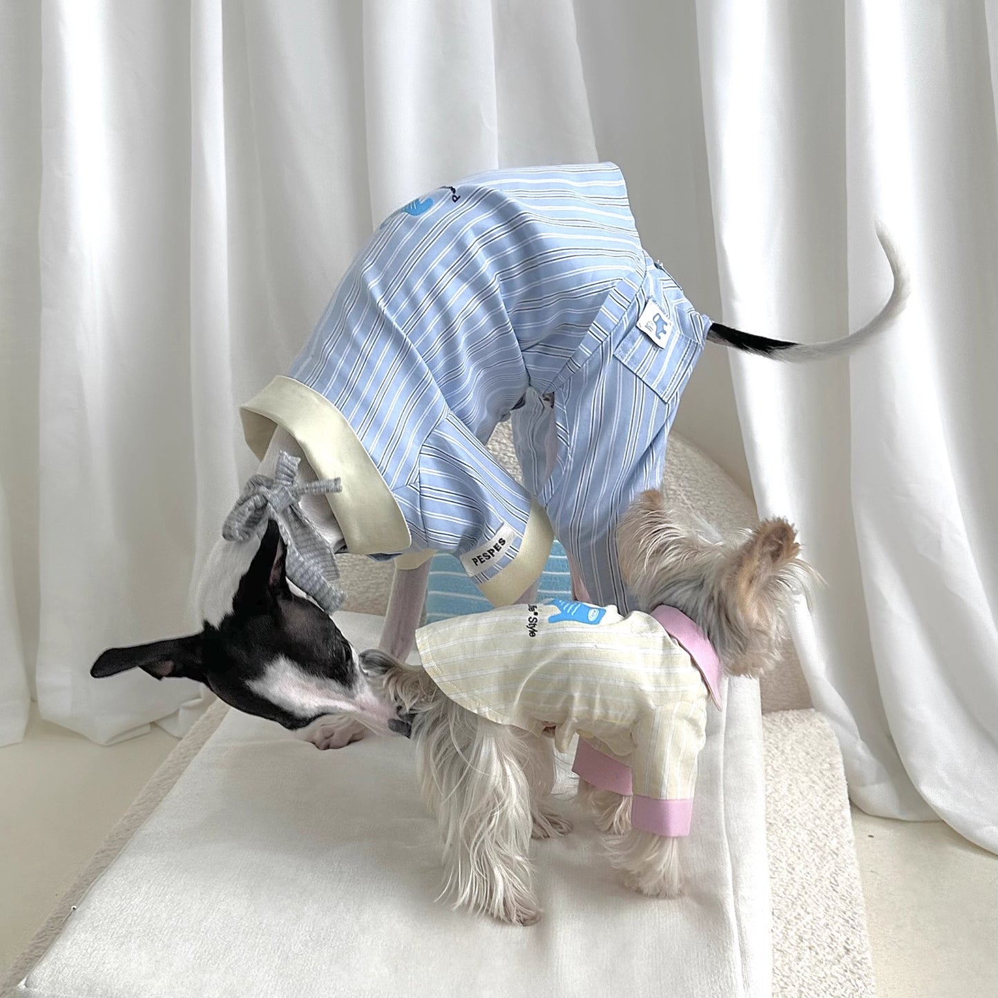 莓奶條紋日常｜寵物衣服 狗狗涼感衣 狗狗衣服  寵物襯衫 貓咪衣服