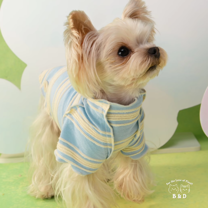 春光灑在條紋上｜寵物衣 狗狗衣服 貓咪衣服 頭巾套裝 寵物服飾 寵物夏季衣服