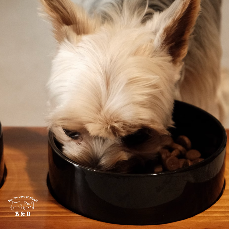 Löv Set 食間木｜ 護頸寵物碗 寵物飼料碗 高腳碗 防打翻 貓碗 狗碗