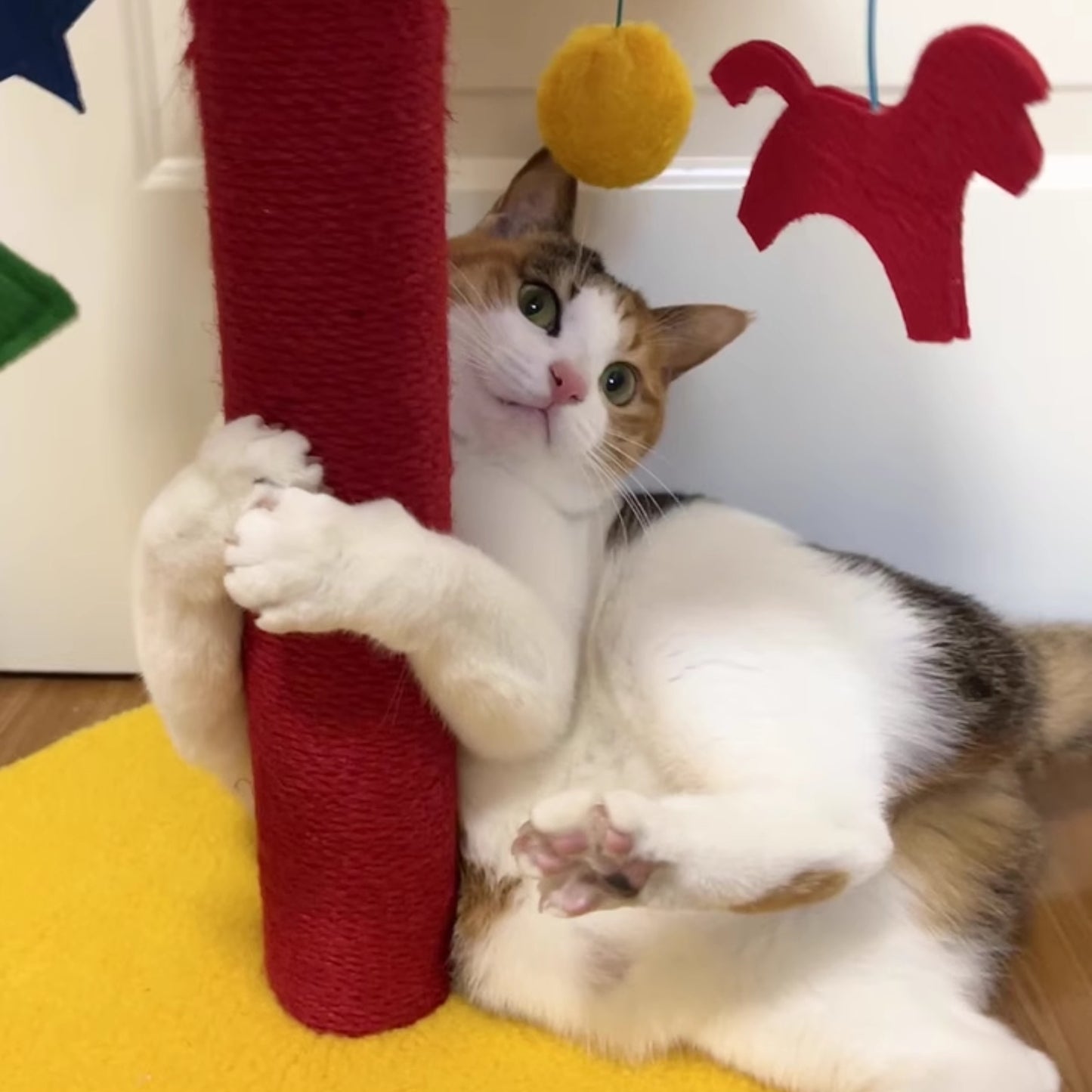 Circus Kitty在這裡｜貓爬架 貓抓板 貓抓柱 耐抓不掉屑 可旋轉貓爬架