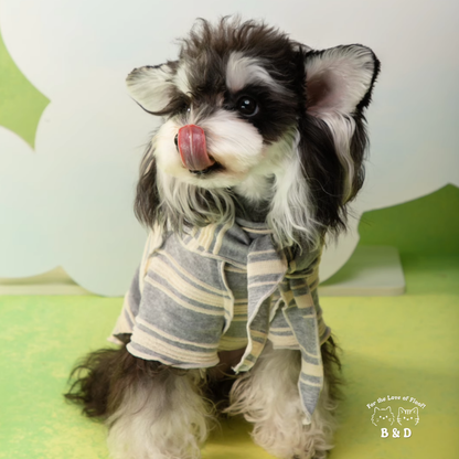 春光灑在條紋上｜寵物衣 狗狗衣服 貓咪衣服 頭巾套裝 寵物服飾 寵物夏季衣服