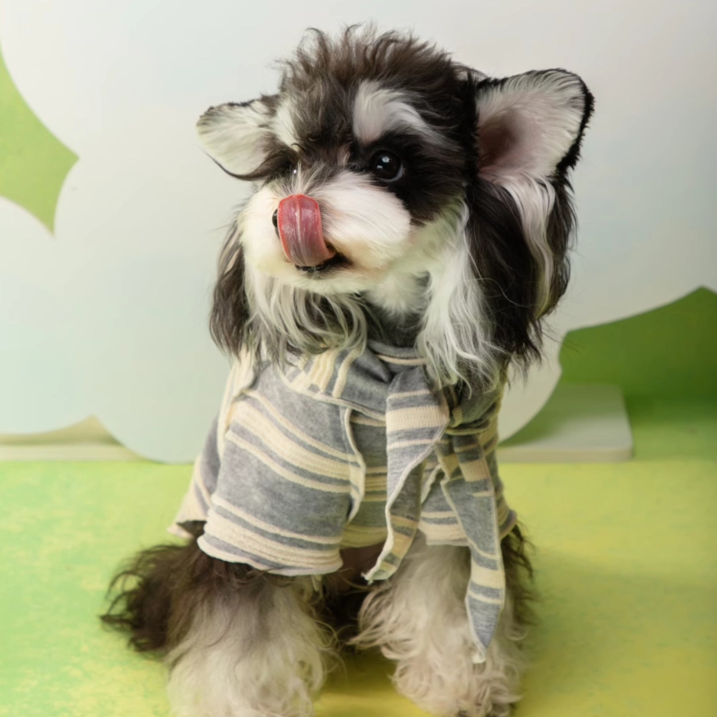 春光灑在條紋上｜寵物衣 狗狗衣服 貓咪衣服 頭巾套裝 寵物服飾 寵物夏季衣服