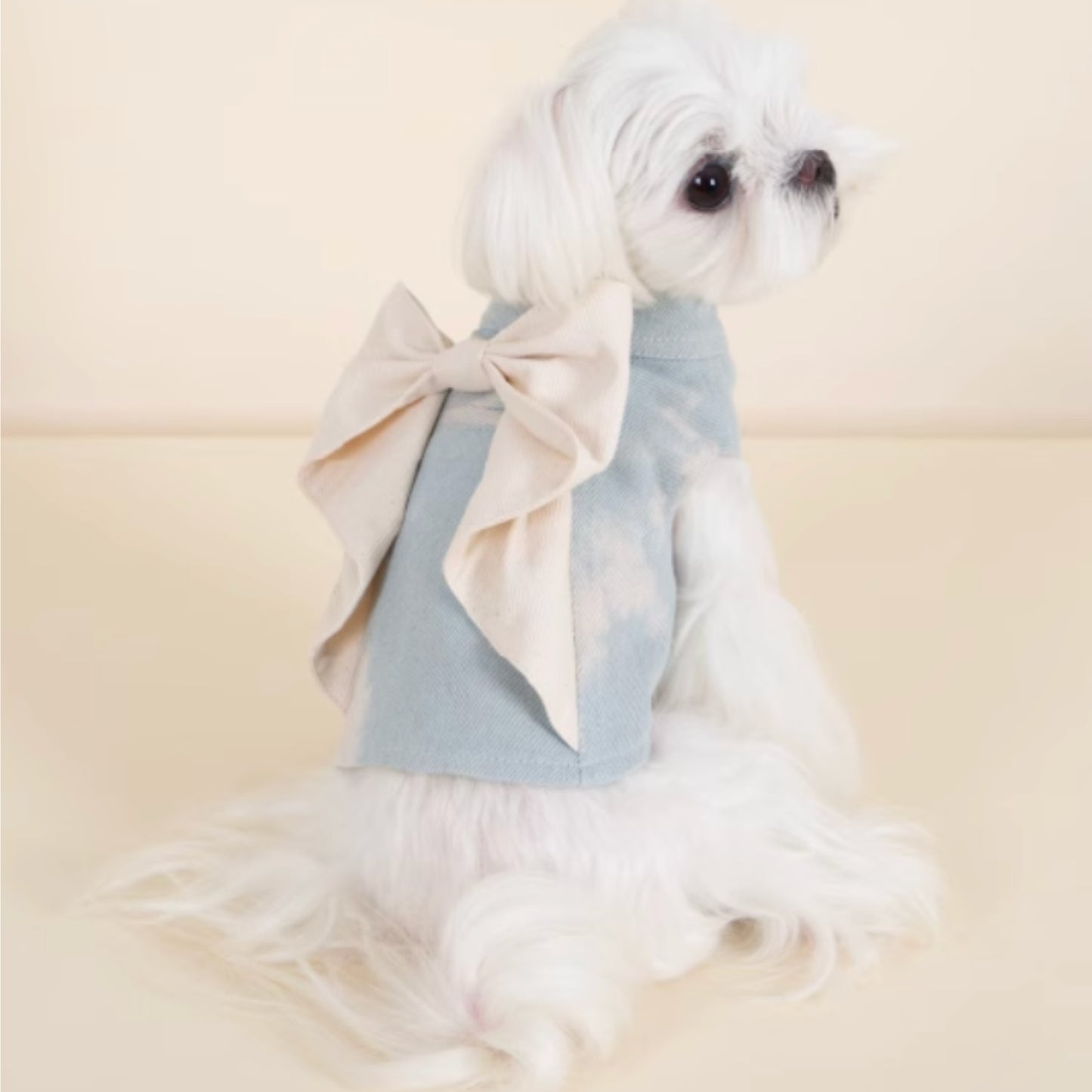 裙擺殺很大｜寵物衣服 夏季輕薄 狗狗衣服 寵物背心 寵物襯衫 貓咪衣服
