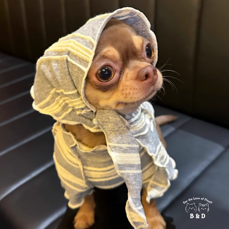 春光灑在條紋上｜寵物衣 狗狗衣服 貓咪衣服 頭巾套裝 寵物服飾 寵物夏季衣服