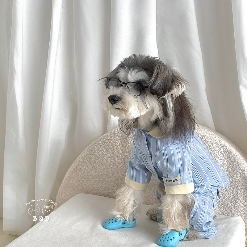 莓奶條紋日常｜寵物衣服 狗狗涼感衣 狗狗衣服  寵物襯衫 貓咪衣服